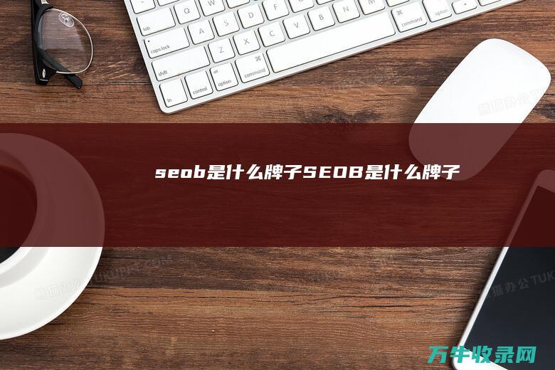 seob是什么牌子 (SEOB是什么牌子)