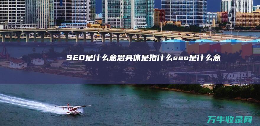 SEO是什么 意思 具体是指什么 (seo是什么意思呢)