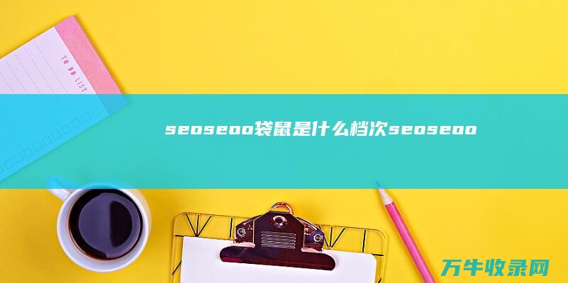 seoseoo袋鼠是什么档次 (seoseoo是什么牌子女包)