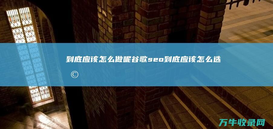 到底应该怎么做呢 谷歌seo (到底应该怎么选择对象)